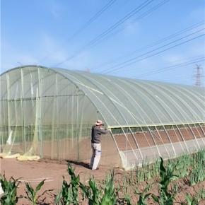 greenhouse film